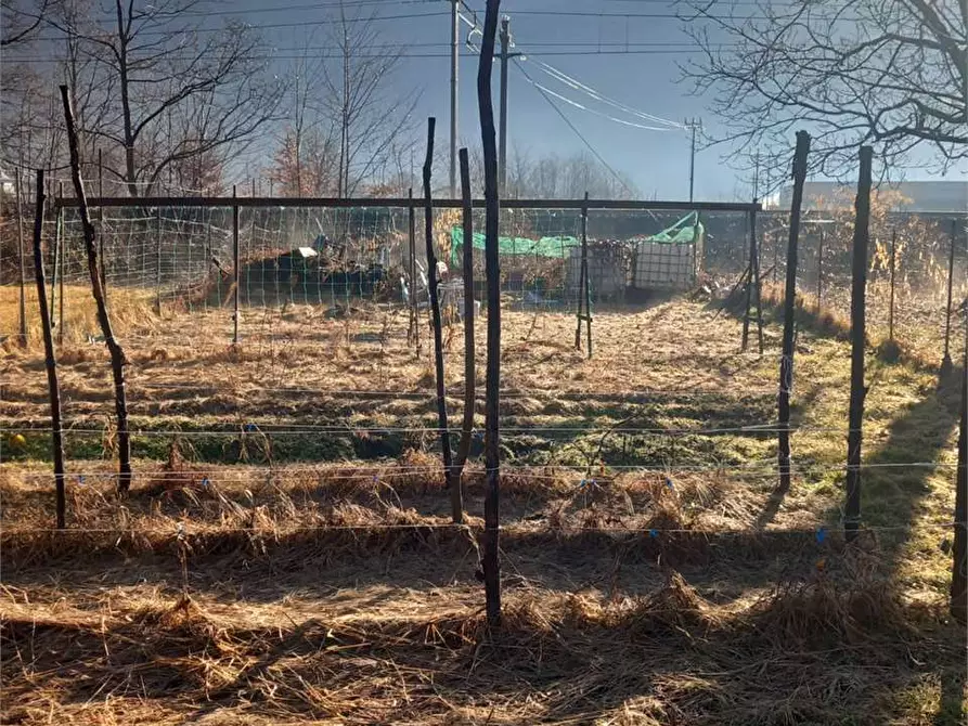 Immagine 27 di Terreno agricolo in vendita  in CASA DELLE RANE a Domodossola
