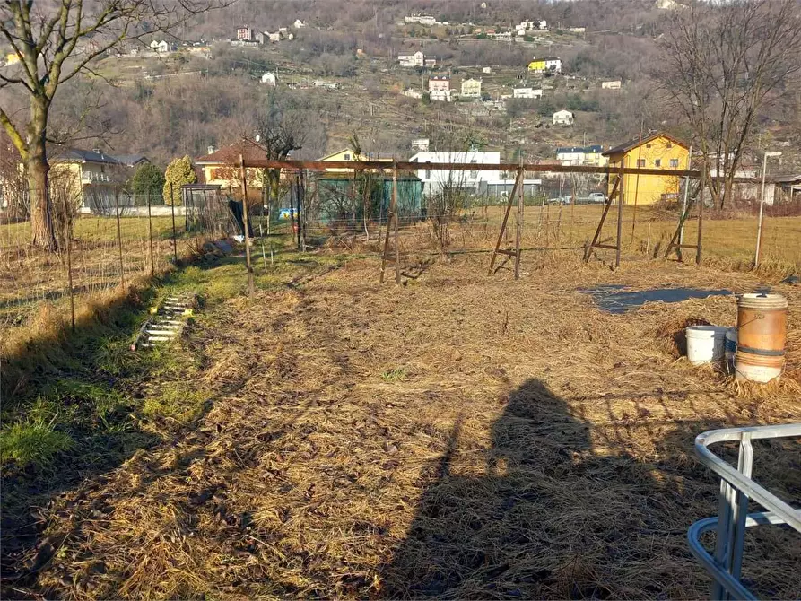 Immagine 11 di Terreno agricolo in vendita  in CASA DELLE RANE a Domodossola
