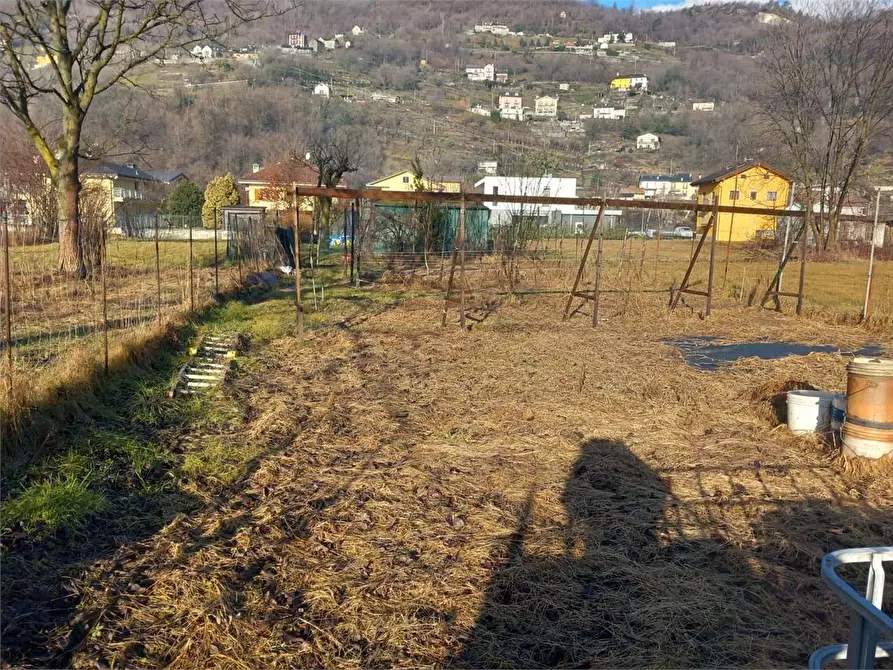 Immagine 3 di Terreno agricolo in vendita  in CASA DELLE RANE a Domodossola