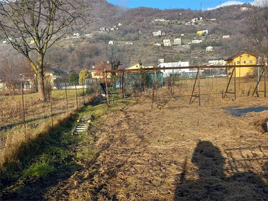 Immagine 7 di Terreno agricolo in vendita  in CASA DELLE RANE a Domodossola