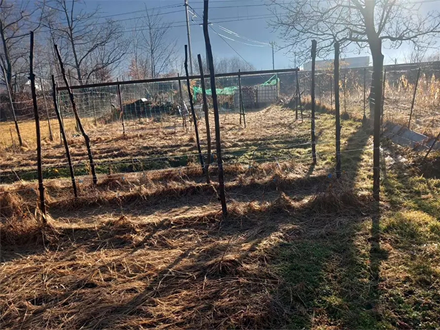Immagine 8 di Terreno agricolo in vendita  in CASA DELLE RANE a Domodossola
