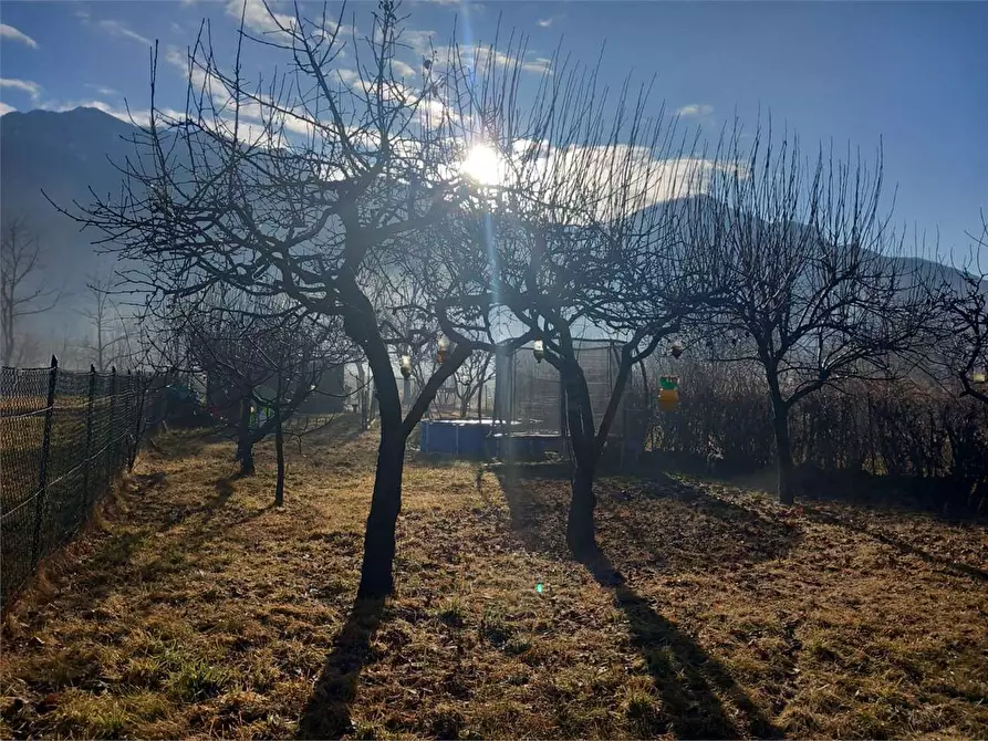 Immagine 16 di Terreno agricolo in vendita  in CASA DELLE RANE a Domodossola