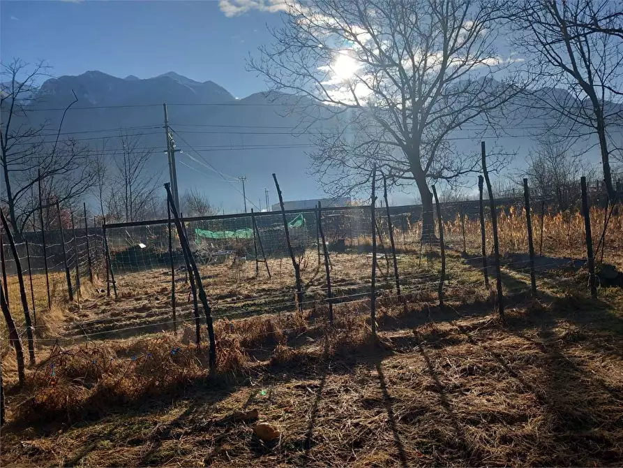 Immagine 13 di Terreno agricolo in vendita  in CASA DELLE RANE a Domodossola
