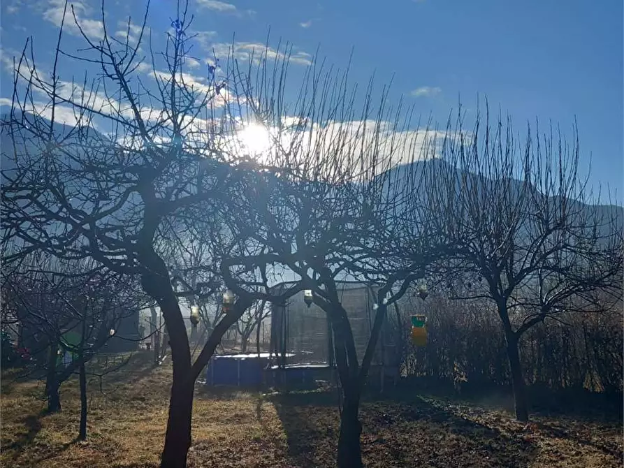 Immagine 29 di Terreno agricolo in vendita  in CASA DELLE RANE a Domodossola