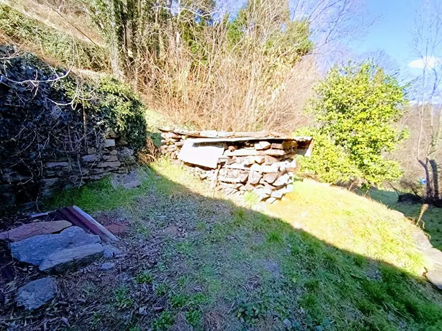 Immagine 52 di Porzione di casa in vendita  in tappia a Villadossola