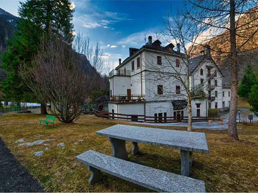 Immagine 2 di Appartamento in vendita  in RIVASCO a Premia