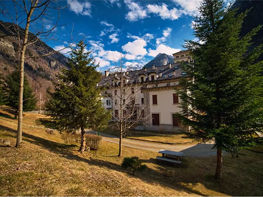 Immagine 38 di Appartamento in vendita  in RIVASCO a Premia