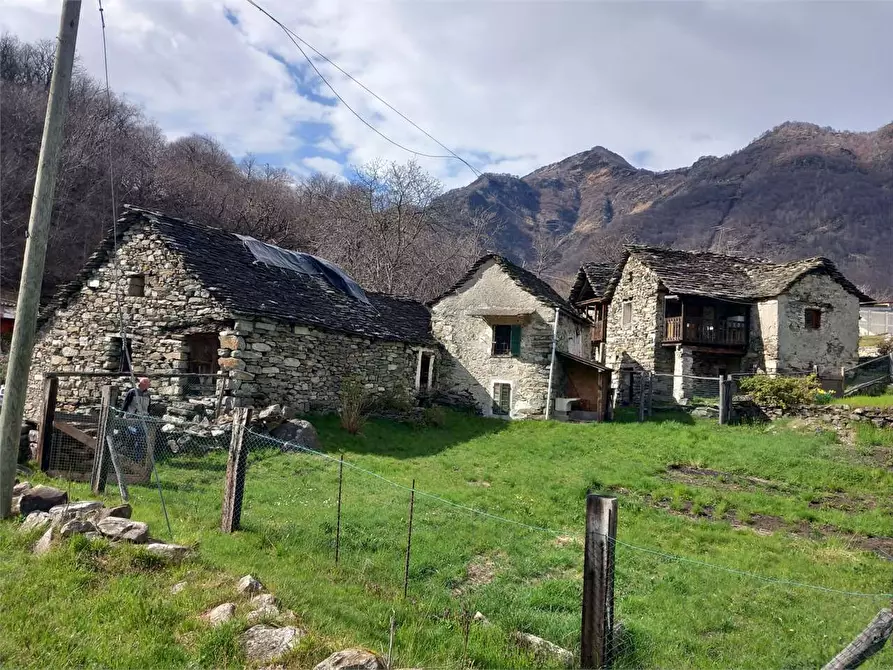 Immagine 9 di Baita in vendita  in crosa a Pieve Vergonte