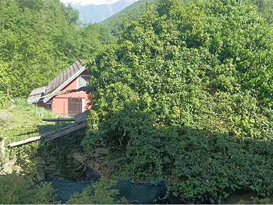 Immagine 35 di Casa indipendente in vendita  in campeglio a Bognanco