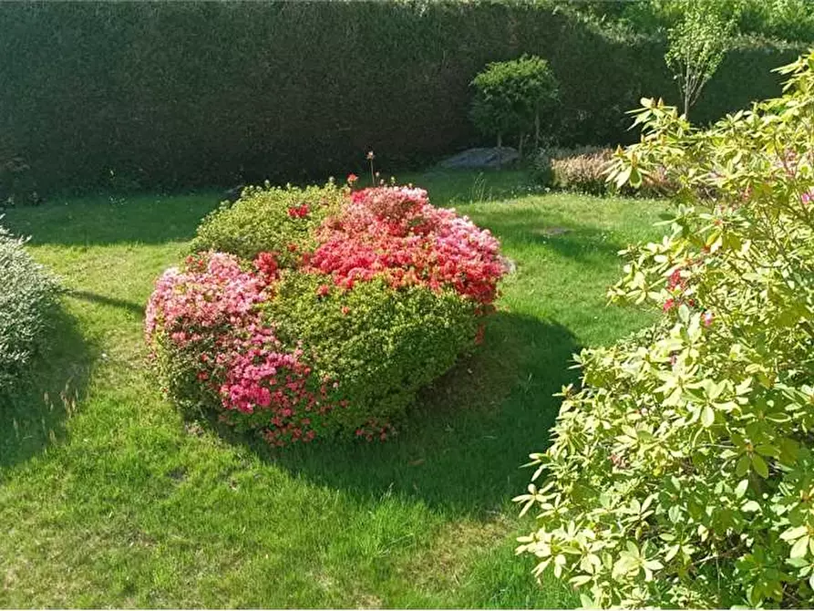 Immagine 6 di Casa indipendente in vendita  in campeglio a Bognanco