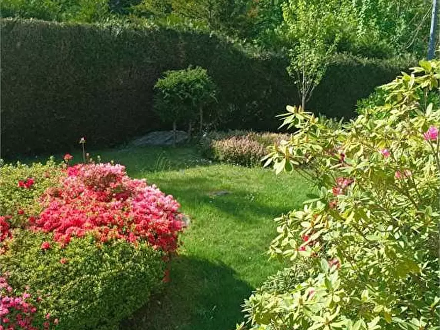 Immagine 66 di Casa indipendente in vendita  in campeglio a Bognanco