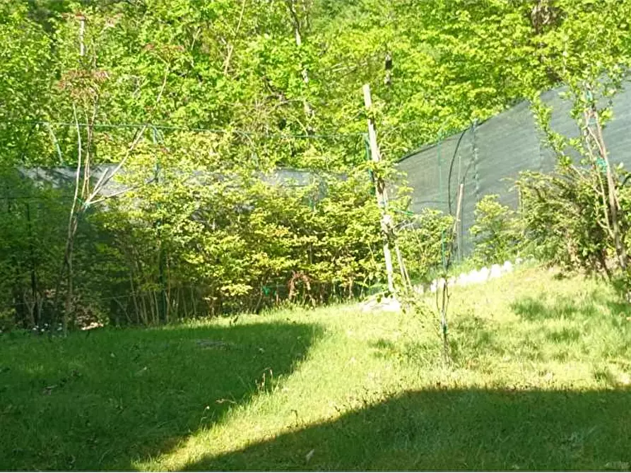 Immagine 40 di Casa indipendente in vendita  in campeglio a Bognanco