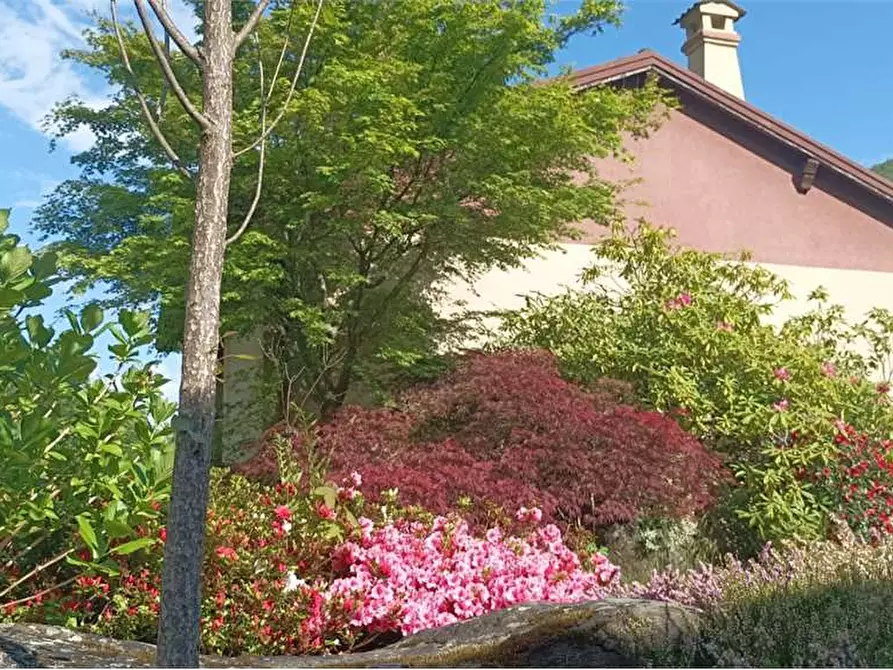 Immagine 4 di Casa indipendente in vendita  in campeglio a Bognanco