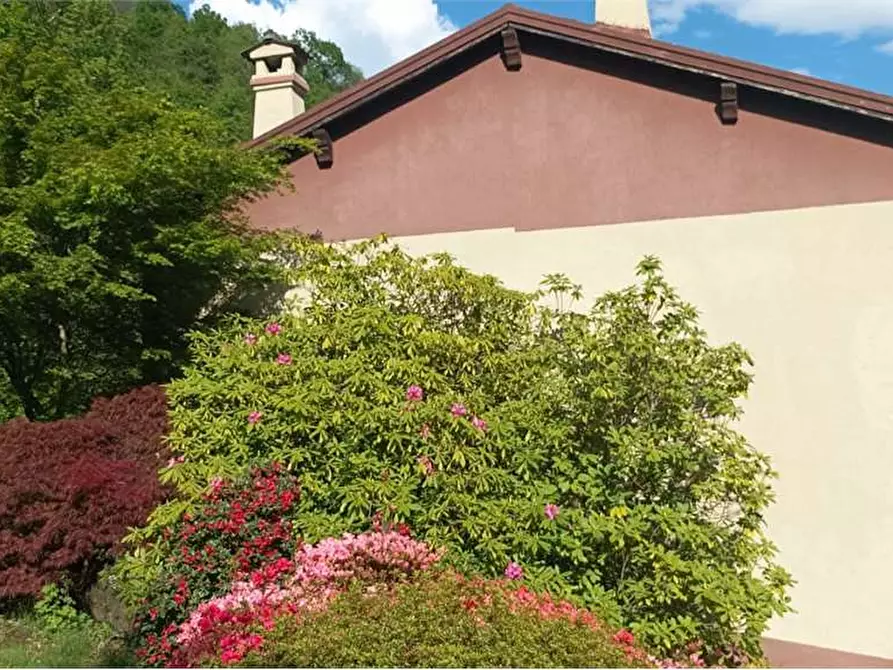 Immagine 2 di Casa indipendente in vendita  in campeglio a Bognanco