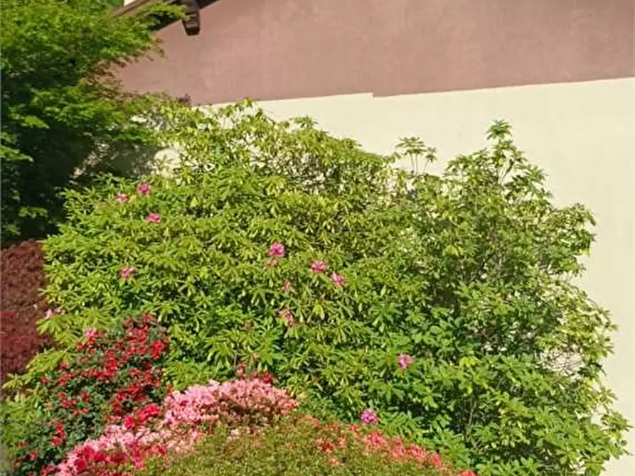 Immagine 78 di Casa indipendente in vendita  in campeglio a Bognanco