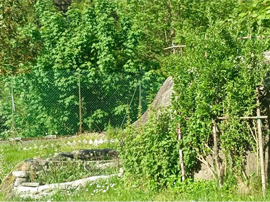 Immagine 10 di Casa indipendente in vendita  in campeglio a Bognanco