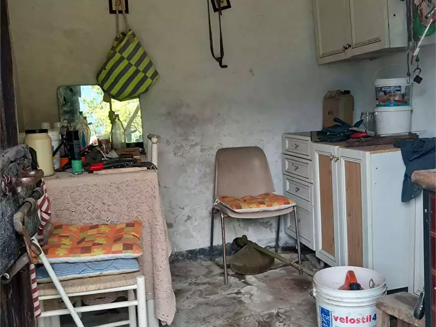 Immagine 13 di Baita in vendita  in anzuno a Domodossola