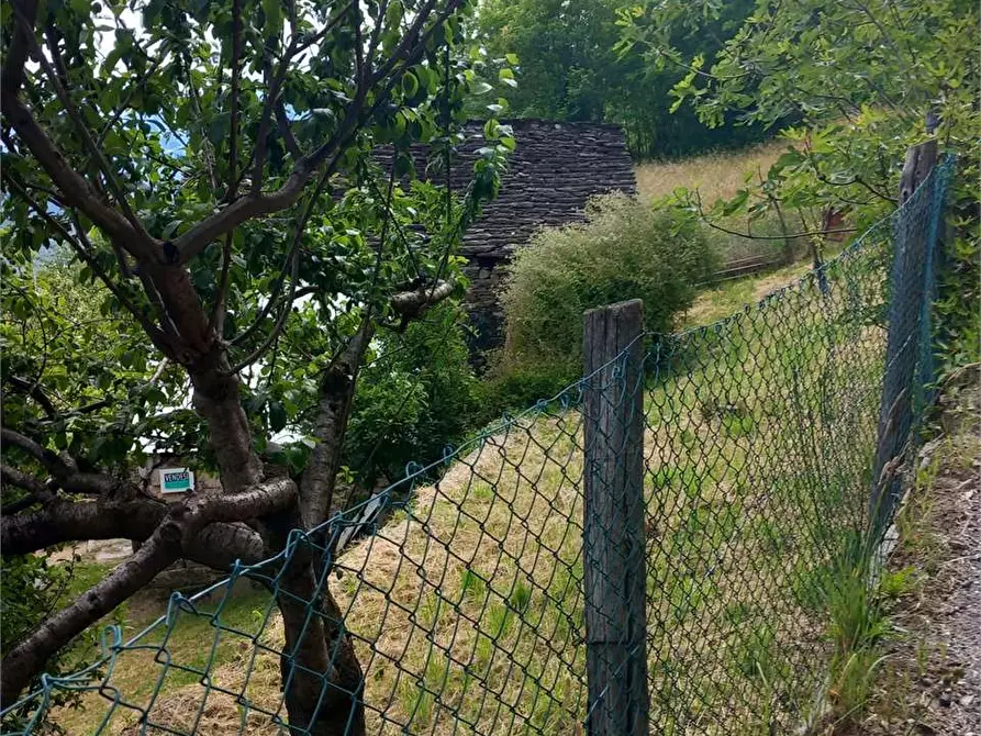 Immagine 23 di Baita in vendita  in anzuno a Domodossola