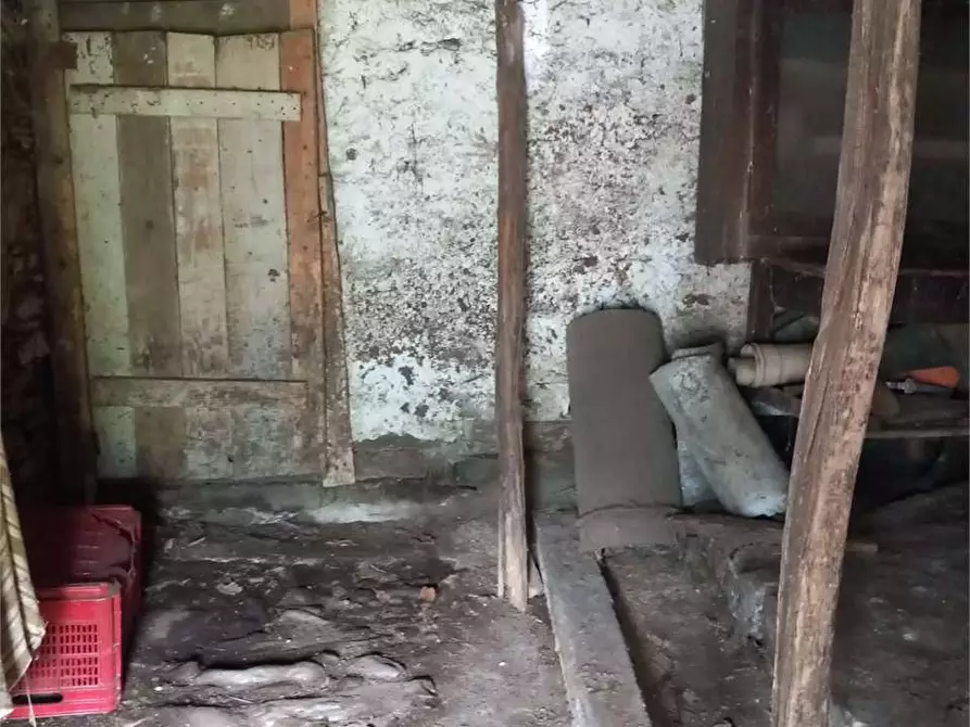 Immagine 11 di Baita in vendita  in anzuno a Domodossola