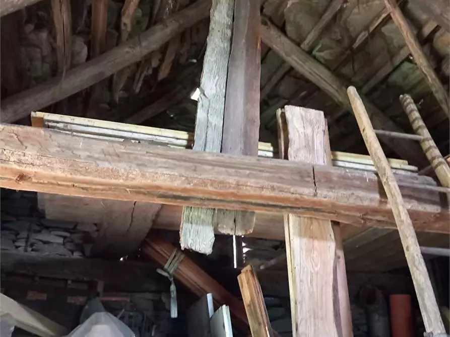 Immagine 17 di Baita in vendita  in anzuno a Domodossola