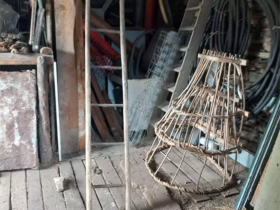 Immagine 19 di Baita in vendita  in anzuno a Domodossola