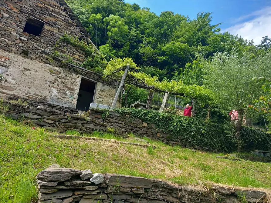Immagine 21 di Baita in vendita  in anzuno a Domodossola