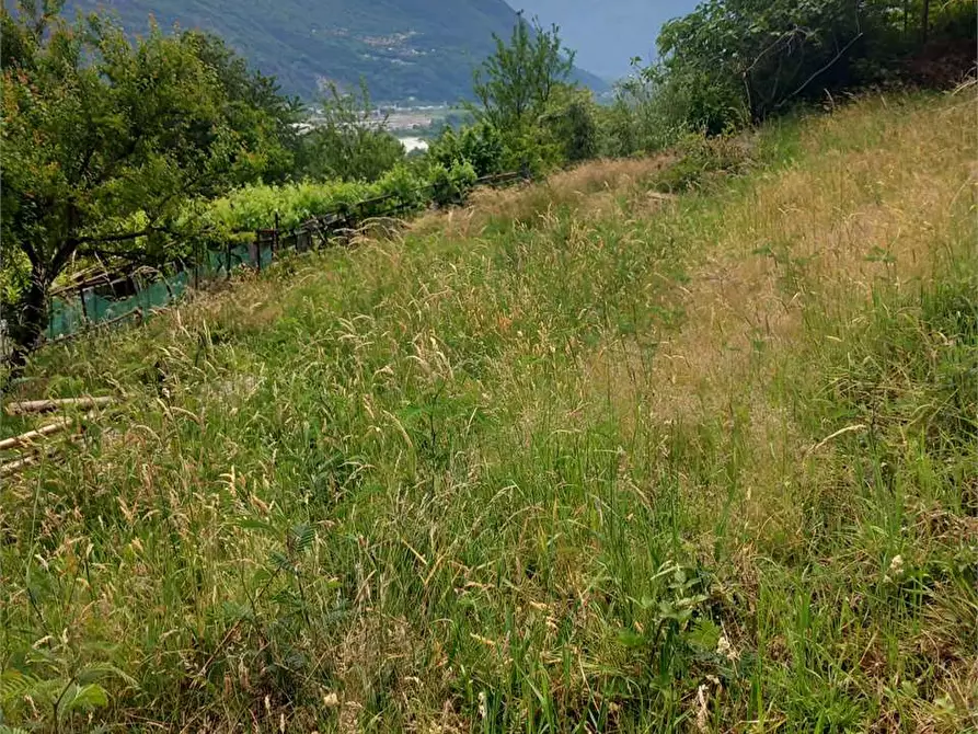 Immagine 40 di Baita in vendita  in anzuno a Domodossola