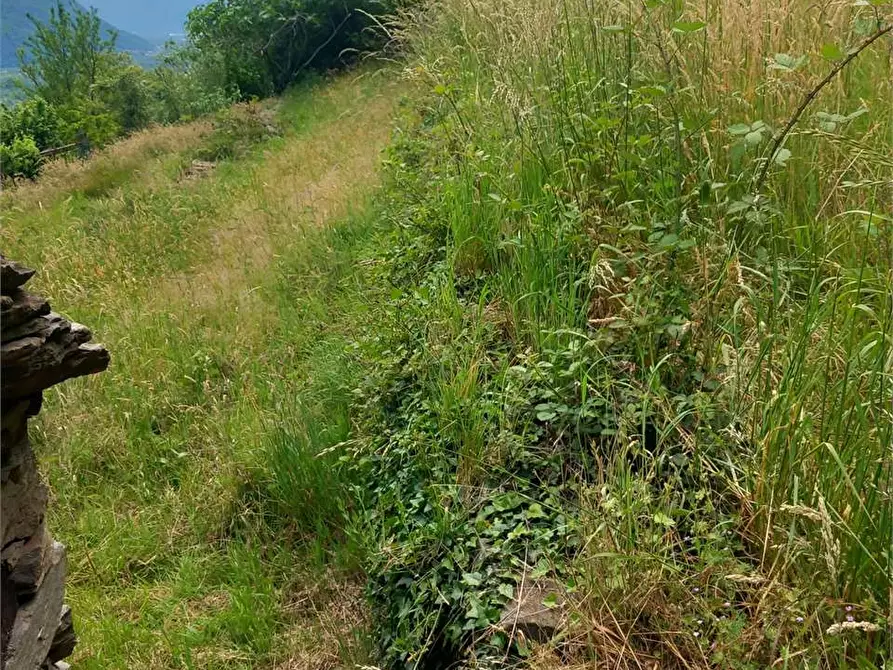 Immagine 29 di Baita in vendita  in anzuno a Domodossola