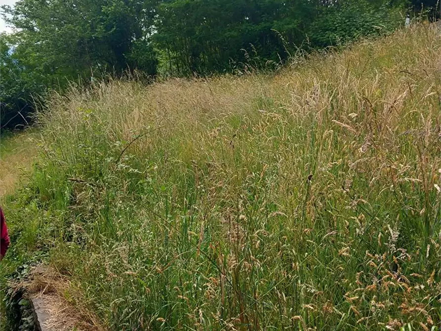 Immagine 41 di Baita in vendita  in anzuno a Domodossola
