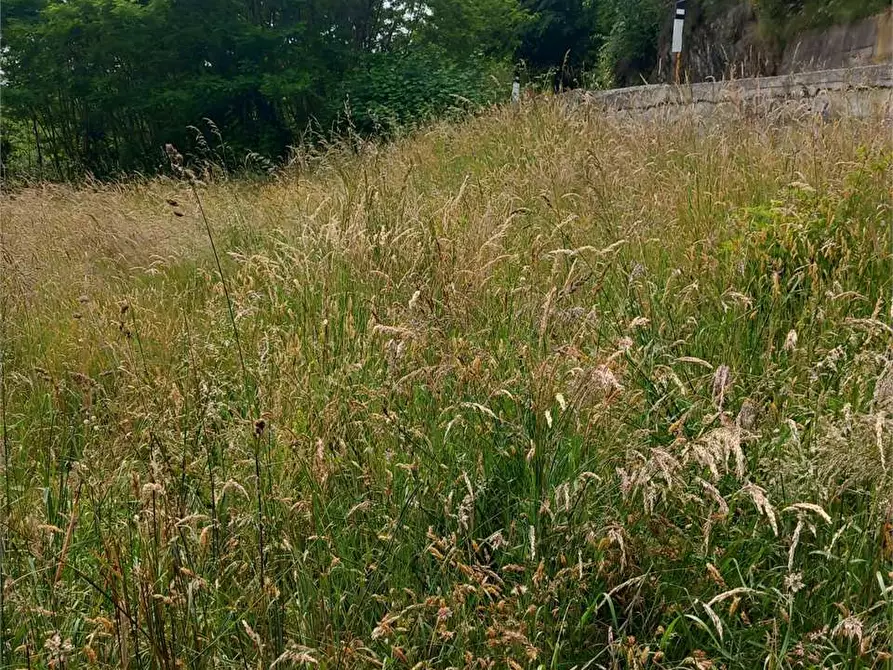 Immagine 42 di Baita in vendita  in anzuno a Domodossola