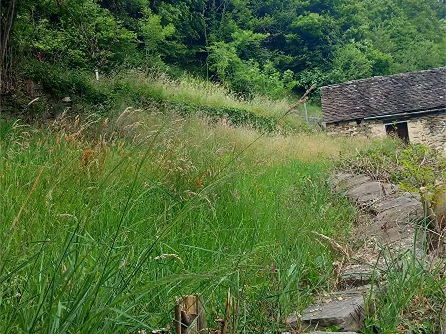 Immagine 48 di Baita in vendita  in anzuno a Domodossola