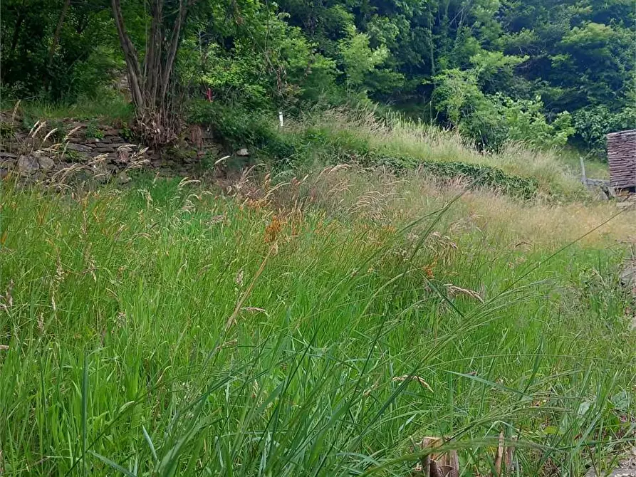 Immagine 49 di Baita in vendita  in anzuno a Domodossola