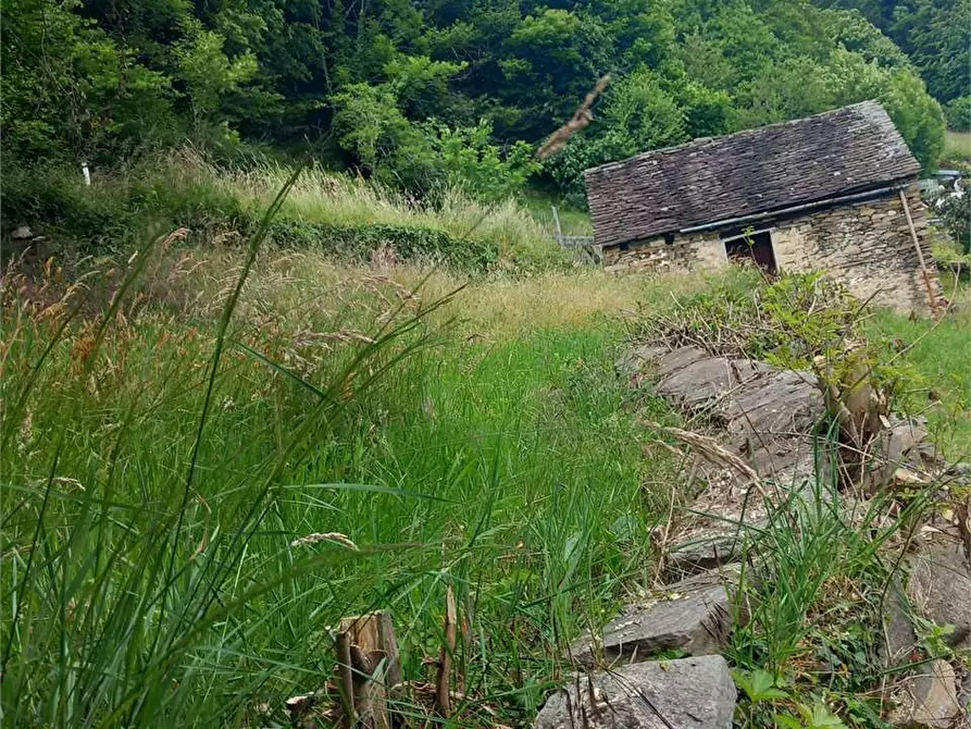 Immagine 50 di Baita in vendita  in anzuno a Domodossola