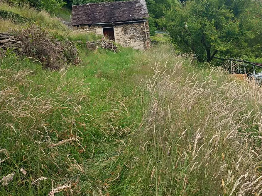 Immagine 51 di Baita in vendita  in anzuno a Domodossola