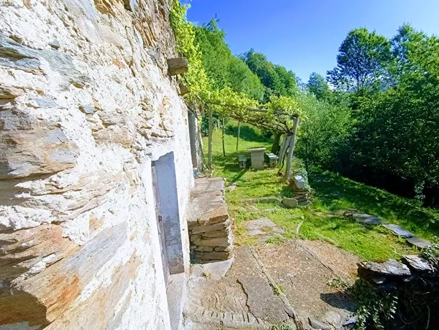 Immagine 6 di Baita in vendita  in anzuno a Domodossola