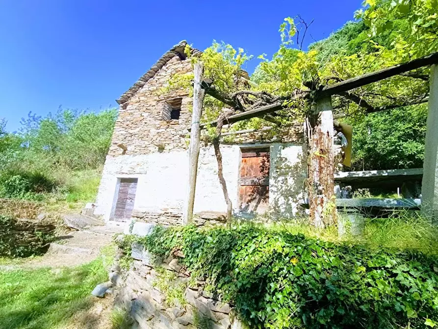 Immagine 2 di Baita in vendita  in anzuno a Domodossola