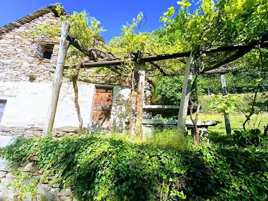 Immagine 5 di Baita in vendita  in anzuno a Domodossola