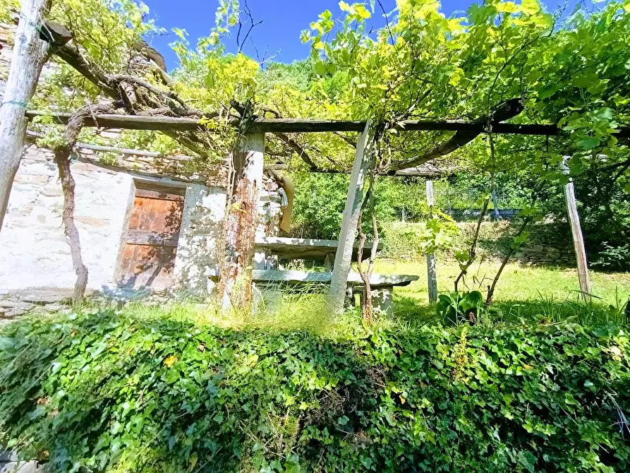 Immagine 4 di Baita in vendita  in anzuno a Domodossola