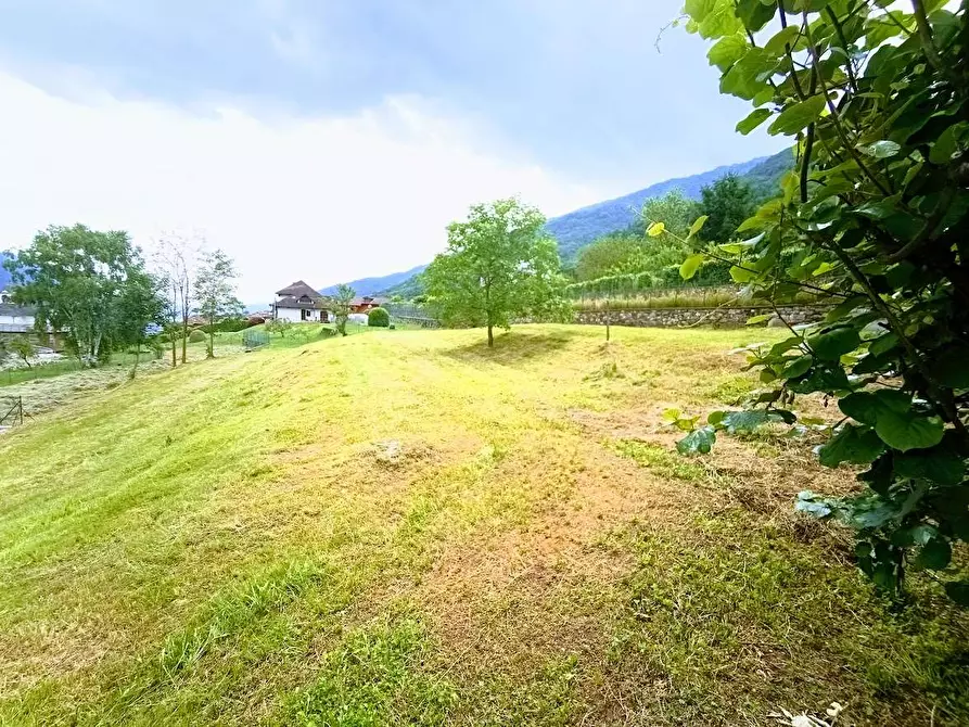 Immagine 11 di Terreno edificabile in vendita  in arzo a Casale Corte Cerro