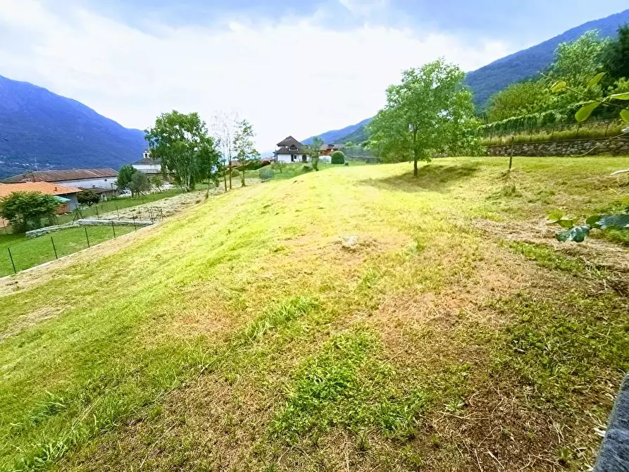 Immagine 6 di Terreno edificabile in vendita  in arzo a Casale Corte Cerro