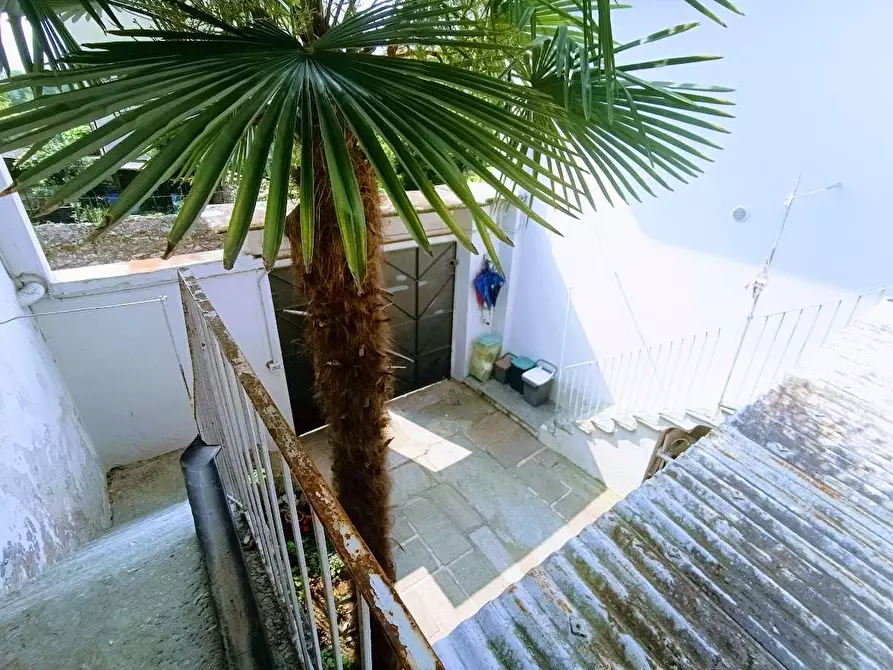 Immagine 6 di Casa indipendente in vendita  in boiti 10 a Piedimulera