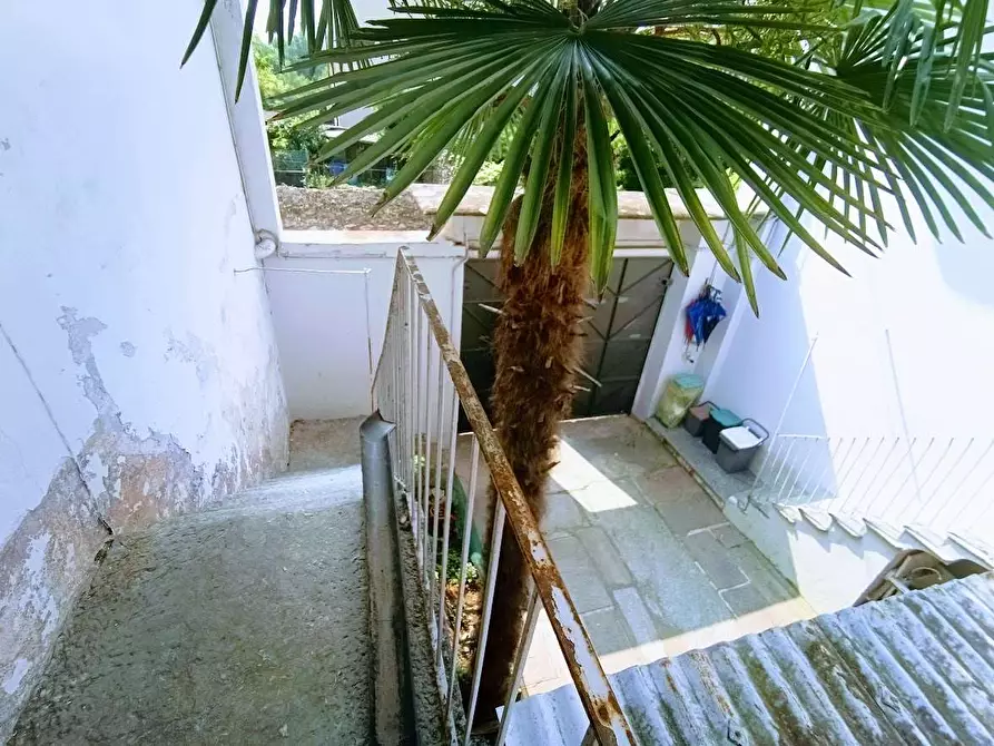 Immagine 31 di Casa indipendente in vendita  in boiti 10 a Piedimulera