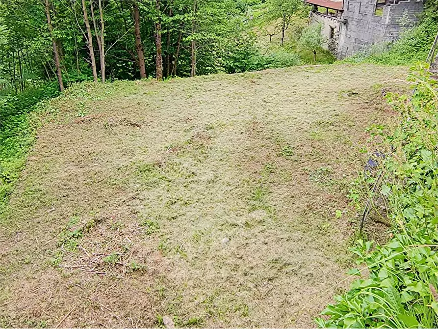 Immagine 31 di Casa indipendente in vendita  in MONTE ROSA a Calasca-Castiglione