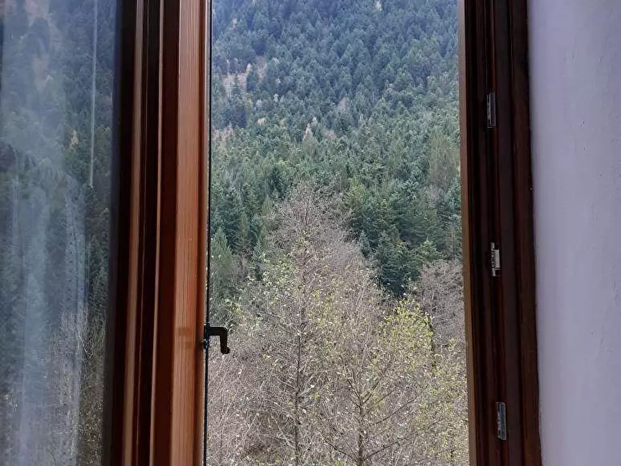 Immagine 25 di Appartamento in vendita  in LE CORTI a Vanzone Con San Carlo