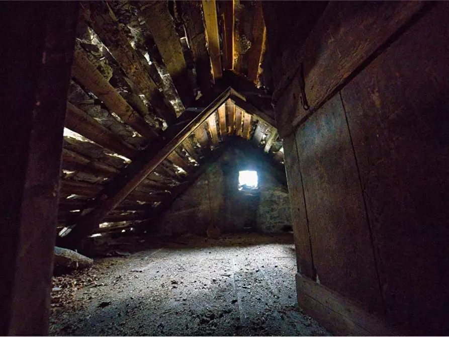 Immagine 31 di Rustico / casale in vendita  in VERAMPIO a Crodo