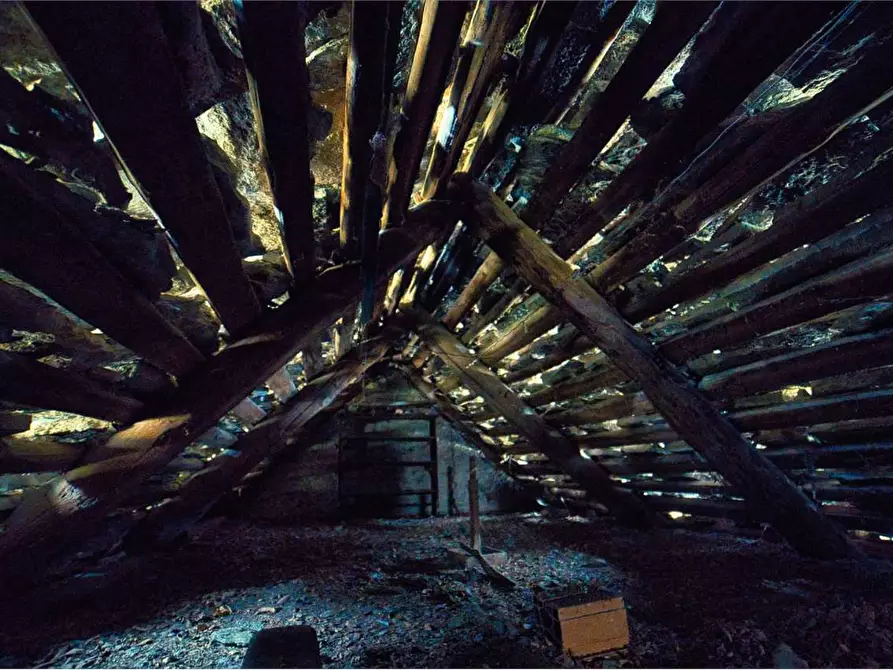 Immagine 41 di Rustico / casale in vendita  in VERAMPIO a Crodo