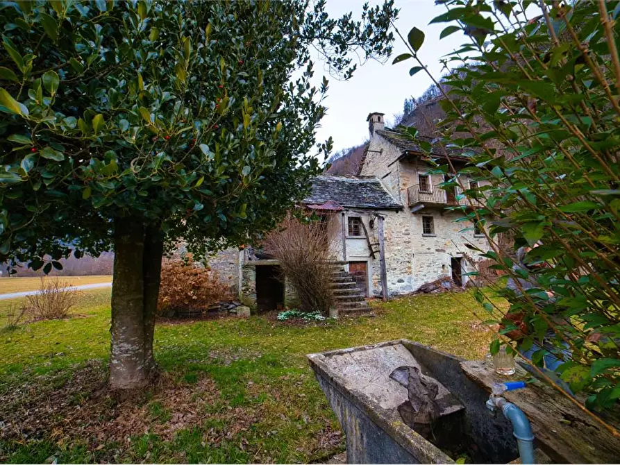 Immagine 35 di Rustico / casale in vendita  in VERAMPIO a Crodo