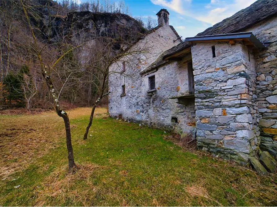 Immagine 37 di Rustico / casale in vendita  in VERAMPIO a Crodo