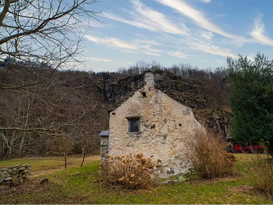 Immagine 40 di Rustico / casale in vendita  in VERAMPIO a Crodo