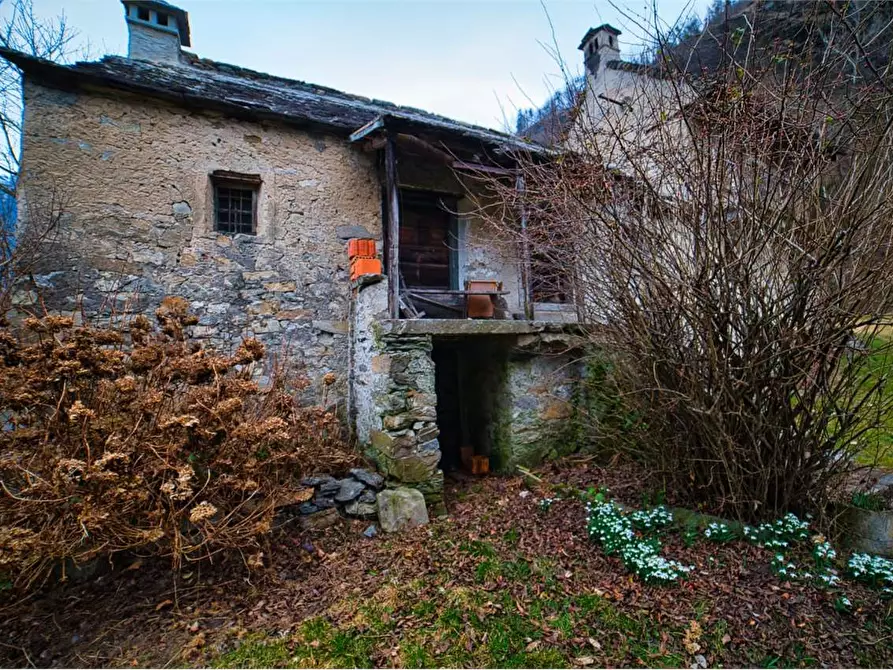 Immagine 7 di Rustico / casale in vendita  in VERAMPIO a Crodo